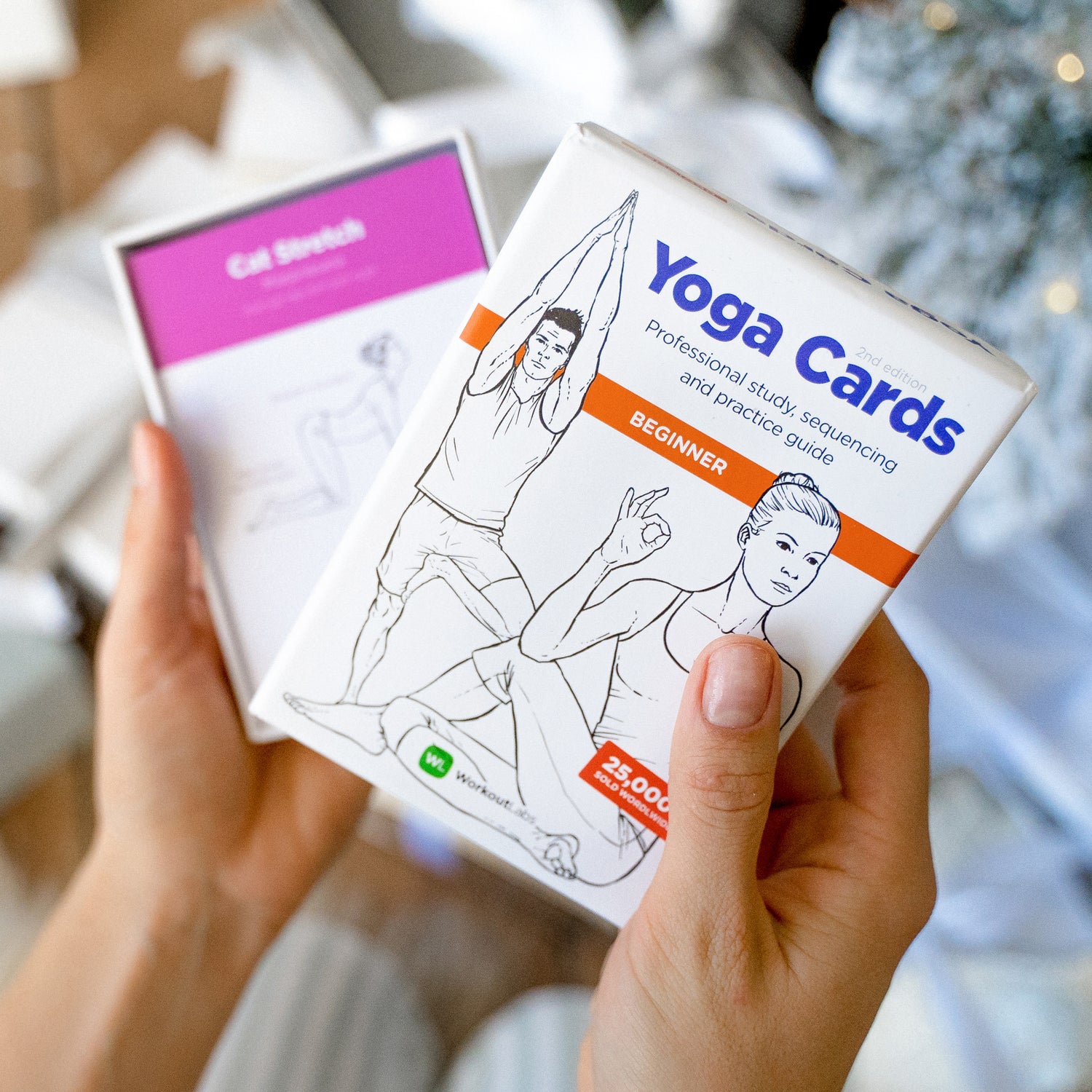 WorkoutLabs Yoga Cards – Beginner: Visual Study, Class Sequencing & Practice Guide with Essential Poses, Breathing Exercises & Meditation · Plastic Flash Cards Deck with Sanskrit