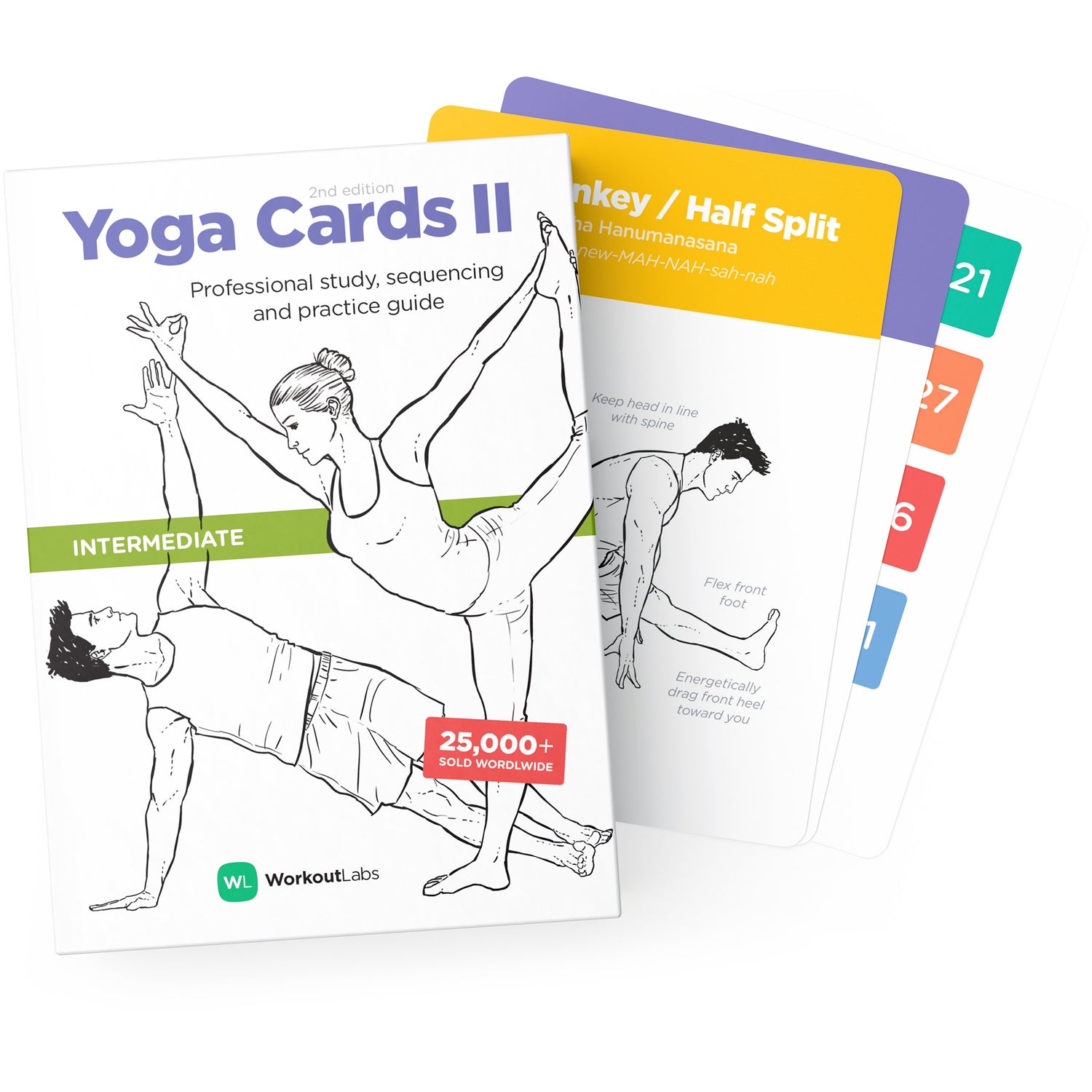 Yoga Basics: A Comprehensive Guide For Beginners