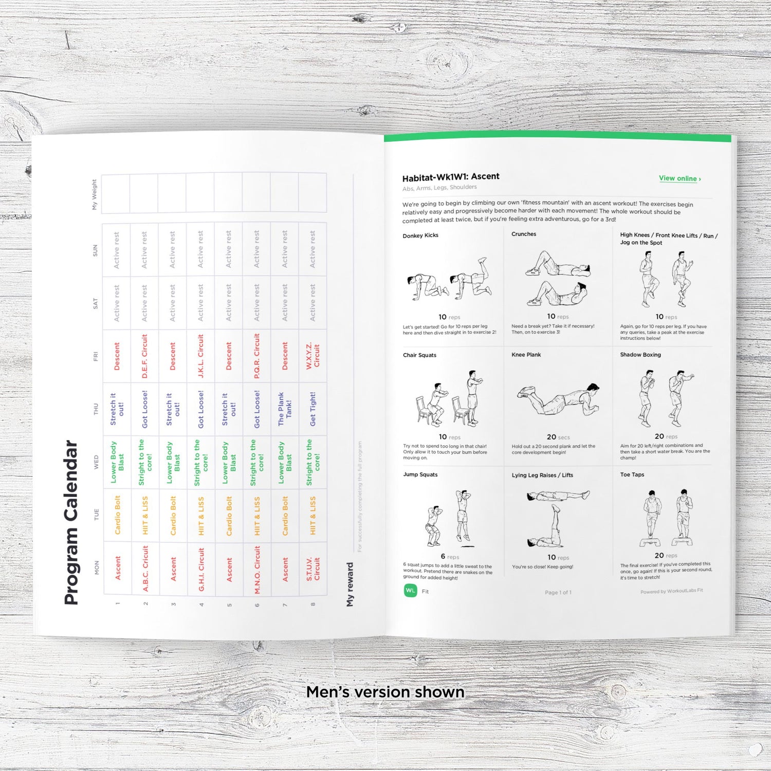 No Equipment Workout Plan Nutrition